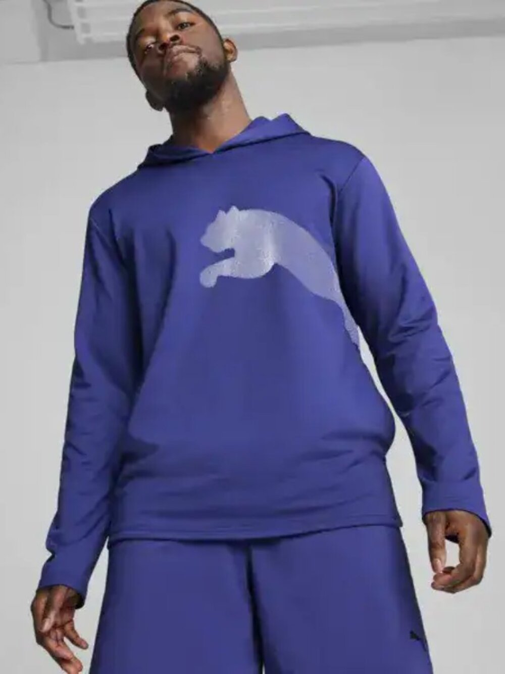 Puma Train All Day Big Cat Hoodie